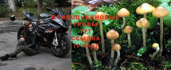 спайс Волосово